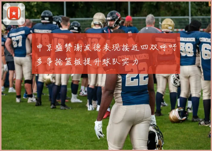 申京盛赞谢泼德表现接近四双呼吁多争抢篮板提升球队实力